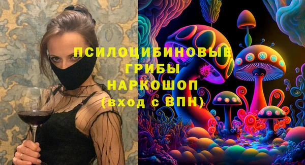 ECSTASY Струнино