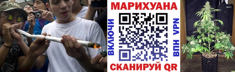 Конопля планчик Спас-Деменск